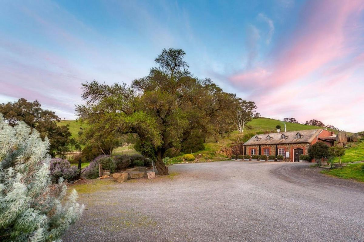 Barossa Valley Private Wine Tour