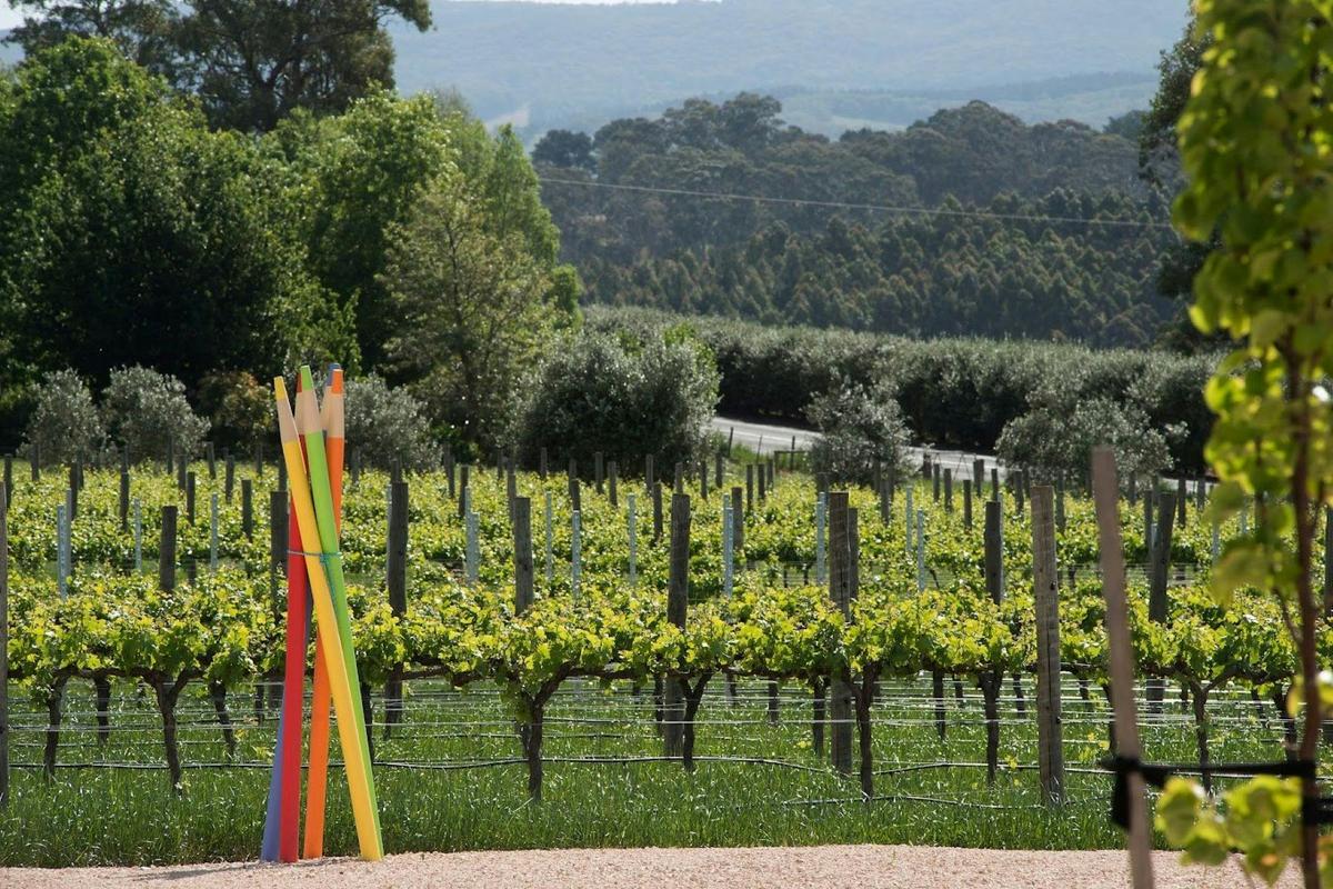Adelaide Hills Private Wine Tour