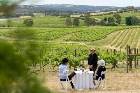 Clare Valley Private Wine Tour