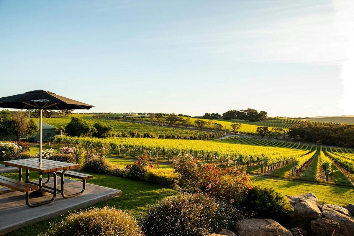 McLaren Vale Vineyard