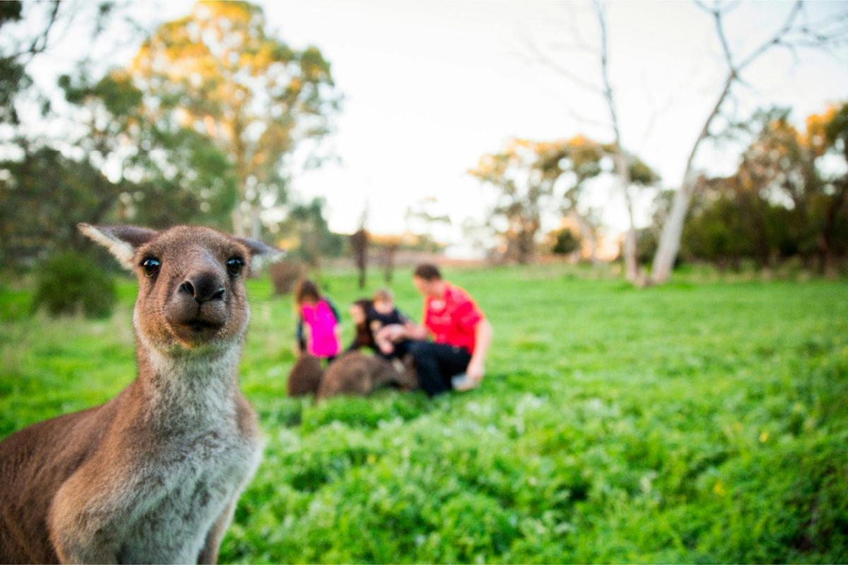 Wildlife Sanctuary