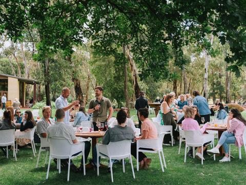 Woodstock Wine Experiences