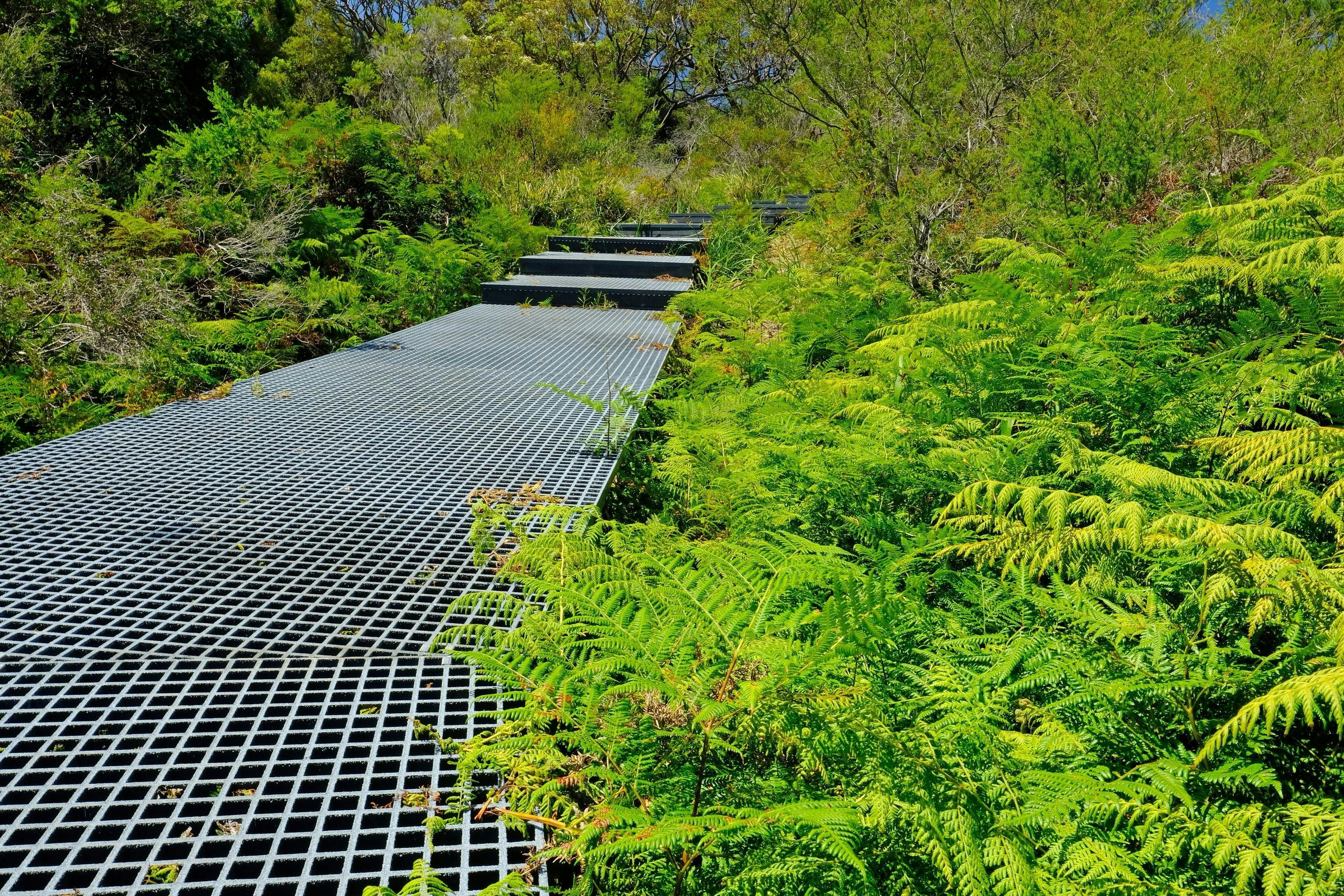 MalabarHeadland National Park Western Escarpment Walking Track. Credit: OEH NSW