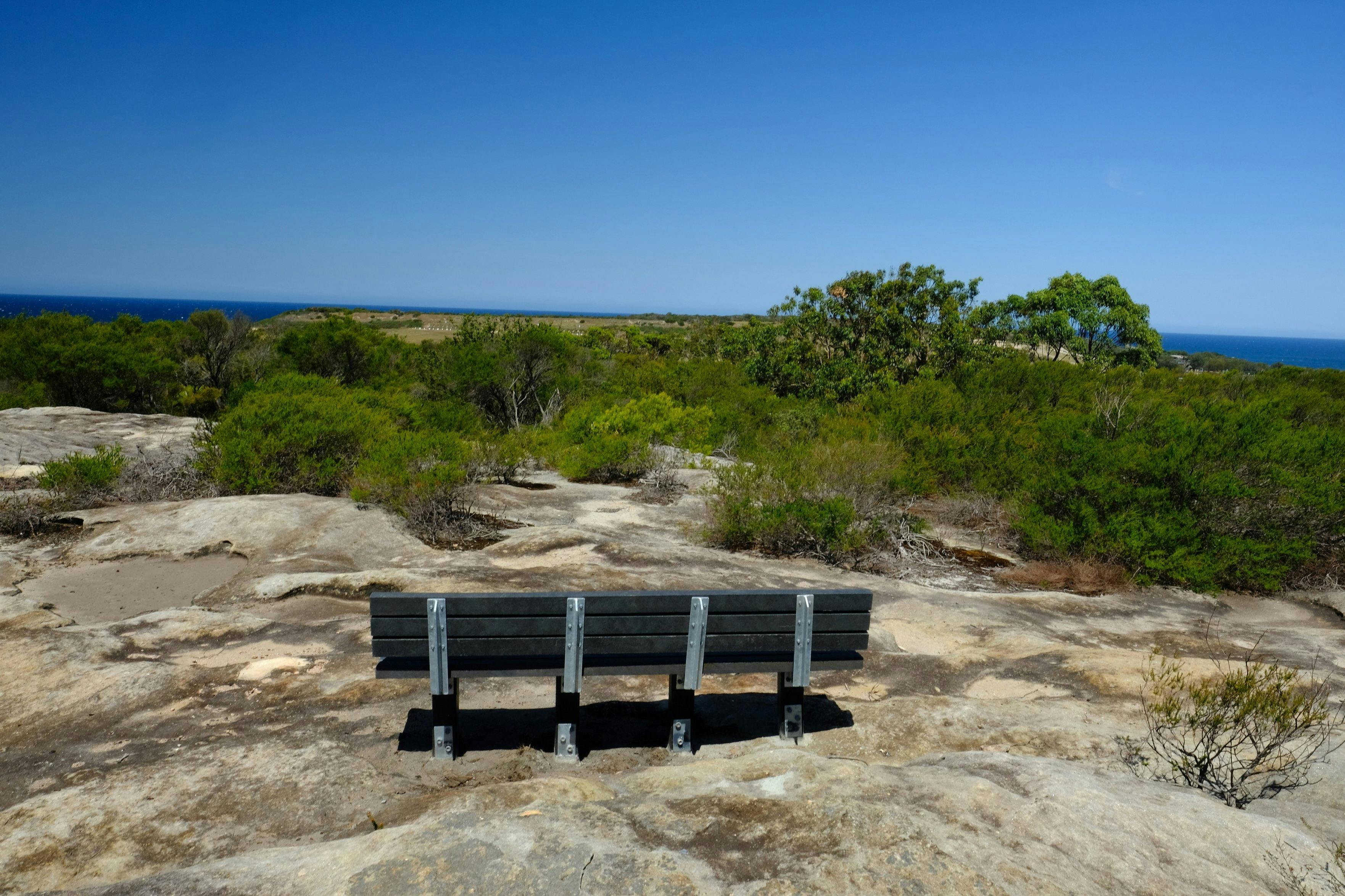 Malabar Headland National Park Western Escarpment Walking Track. Credit: OEH NSW