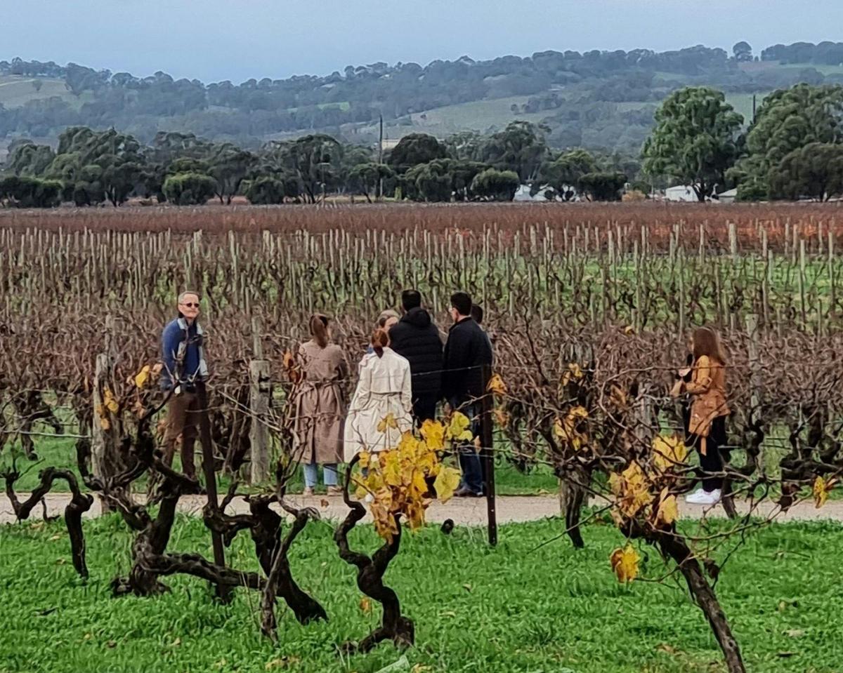 3-Day Getaway In the Picturesque Barossa Valley and Adelaide Hills