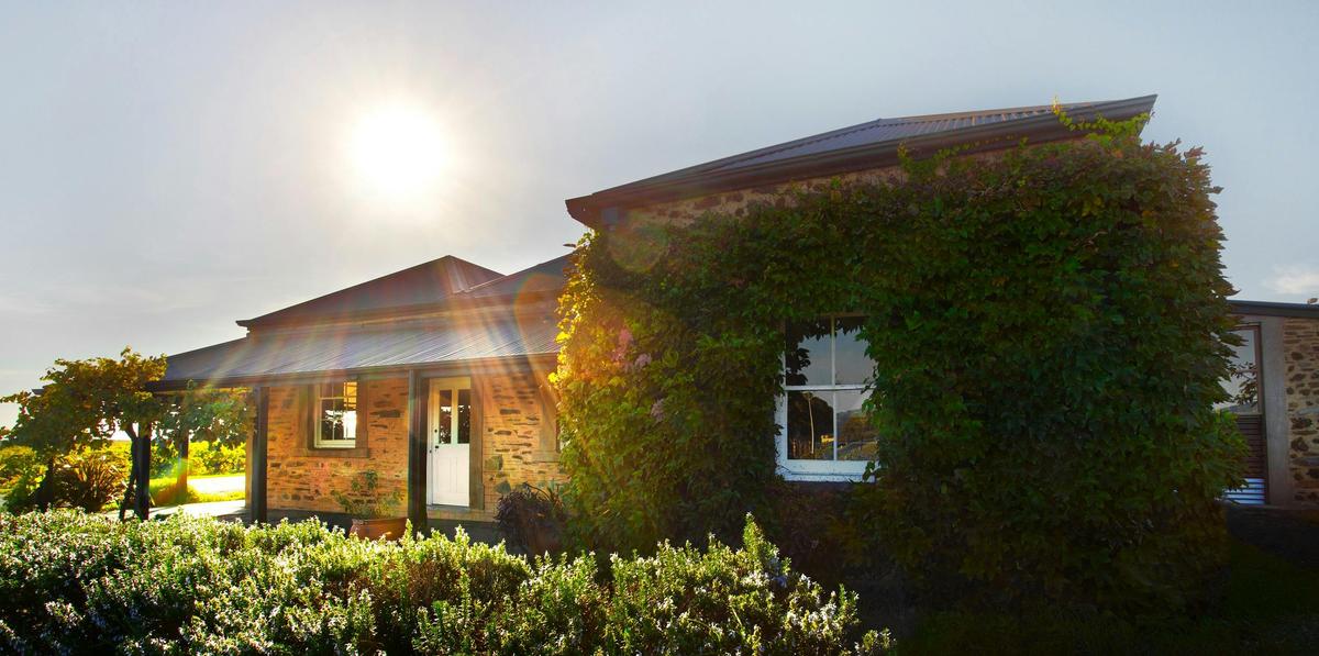 Signature McLaren Vale Private Wine Tour