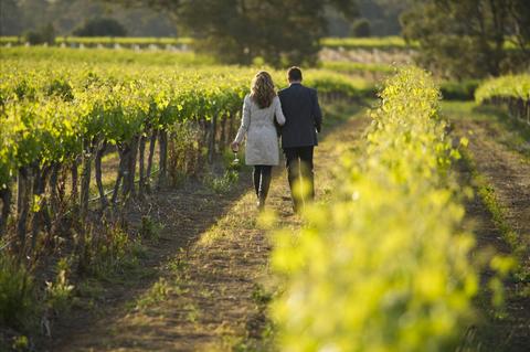 Signature Barossa Valley Private Wine Tour