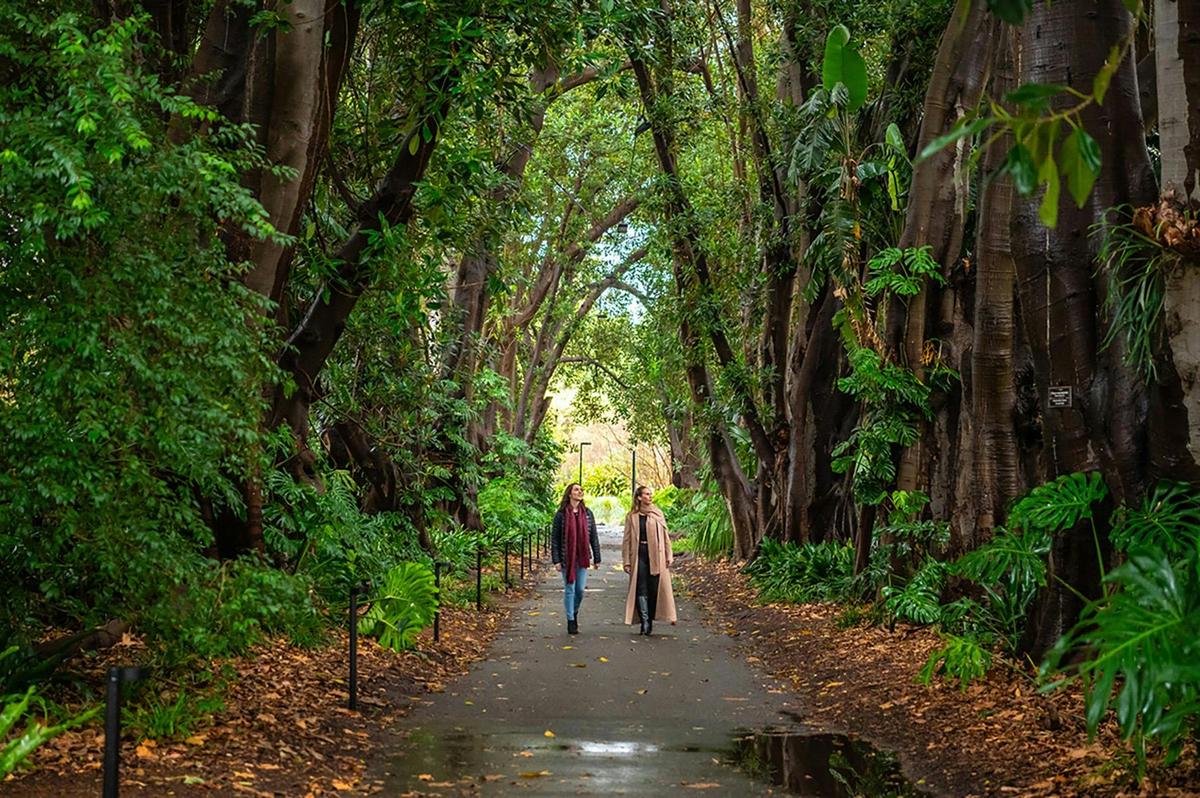 Iconic Adelaide Experience visiting the Botanic Gardens