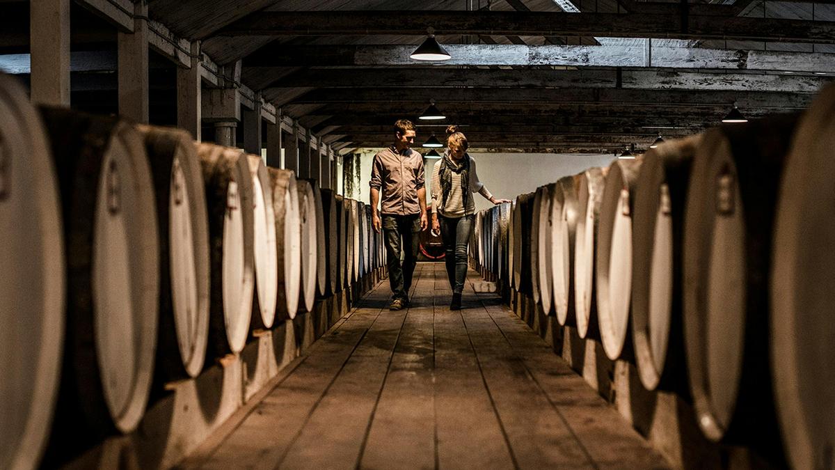 Signature Barossa Valley Private Wine Tour
