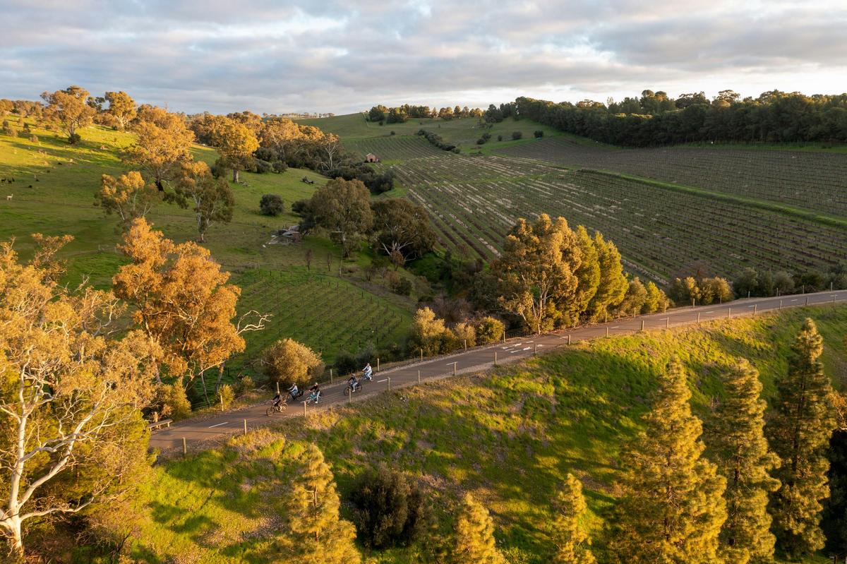 The Barossa Elevated - starting from Barossa accommodation with helicopter-pick up