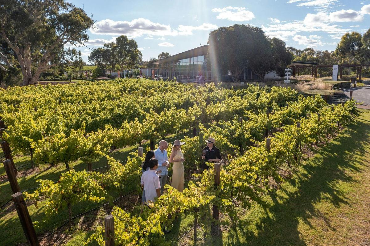Ultimate Wineries Barossa Experience (ex. Adelaide or Barossa Valley) - 1 day