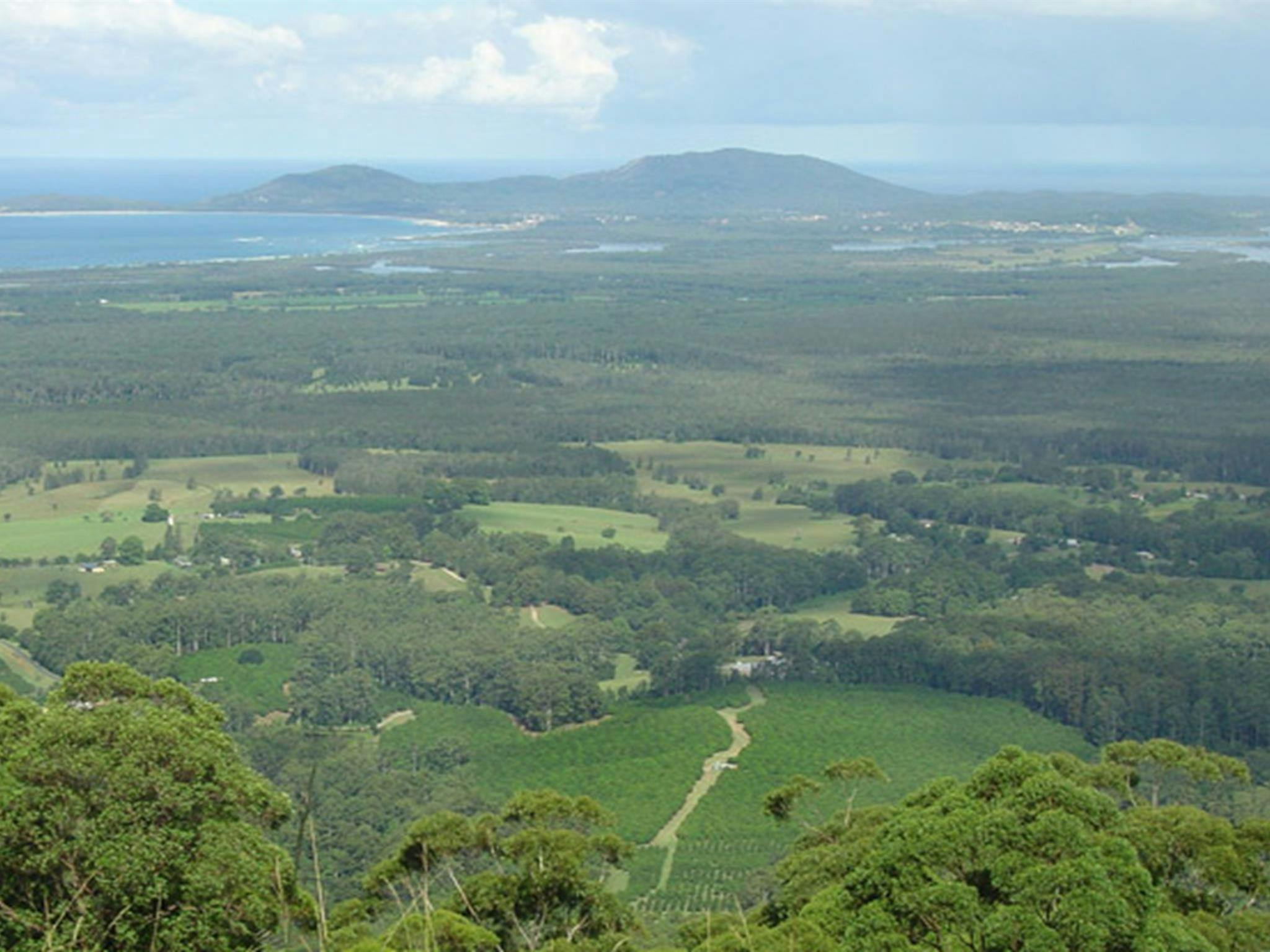Yarriabini lookout, Yarriabini National Park. Photo: A Turbill/NSW Government