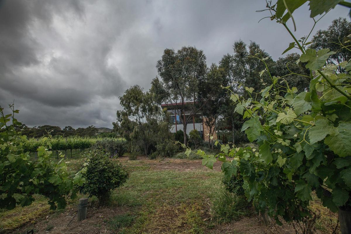 The Treehouse is set in Sellicks Chills Vineyard