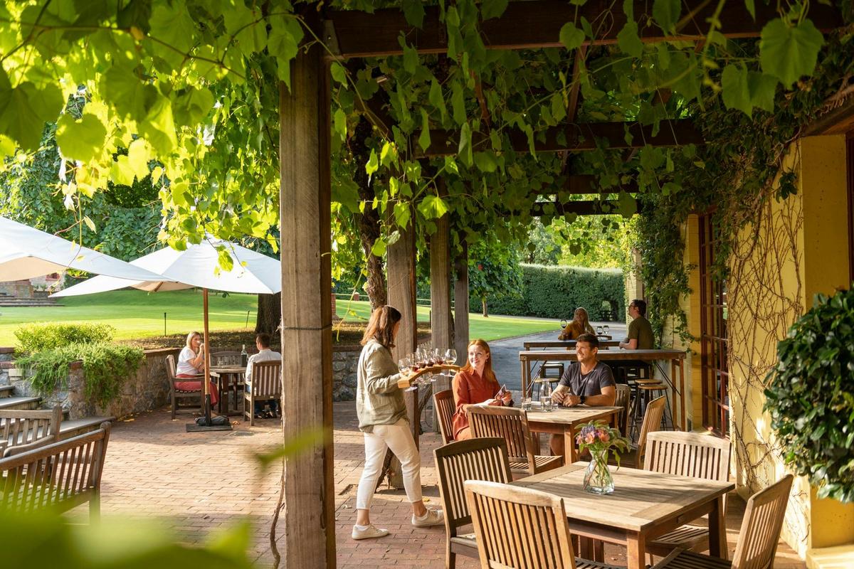 Yalumba Estate Picnic
