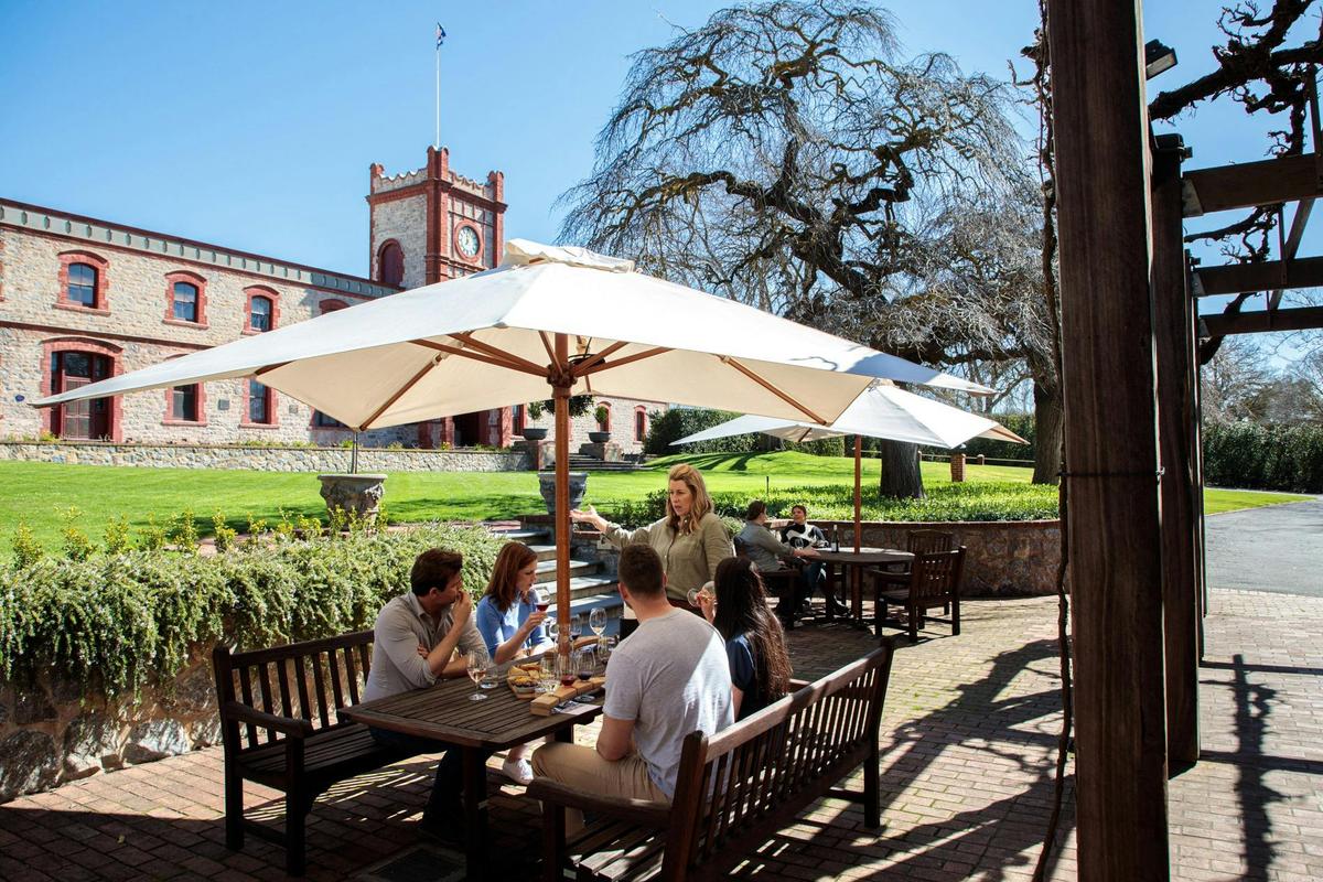 Outside wine tasting at Yalumba