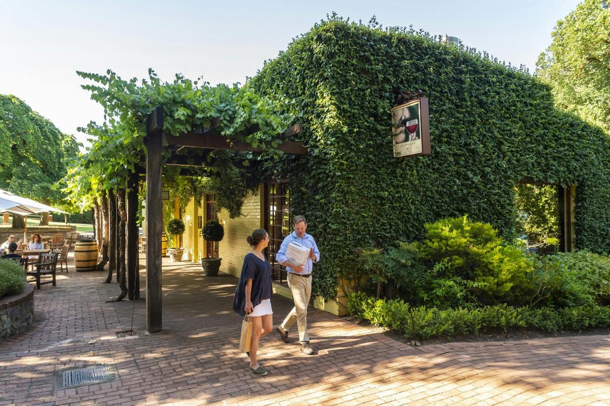 Yalumba Wine Room