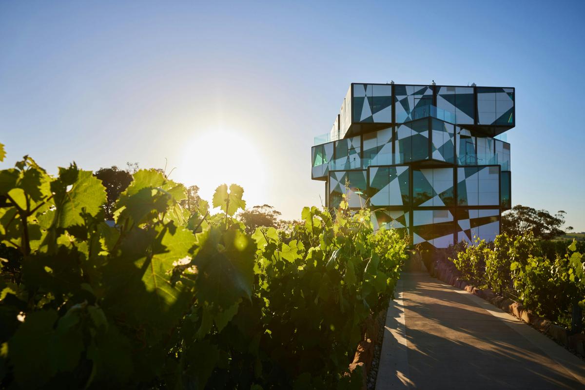 d'Arenberg Winery
