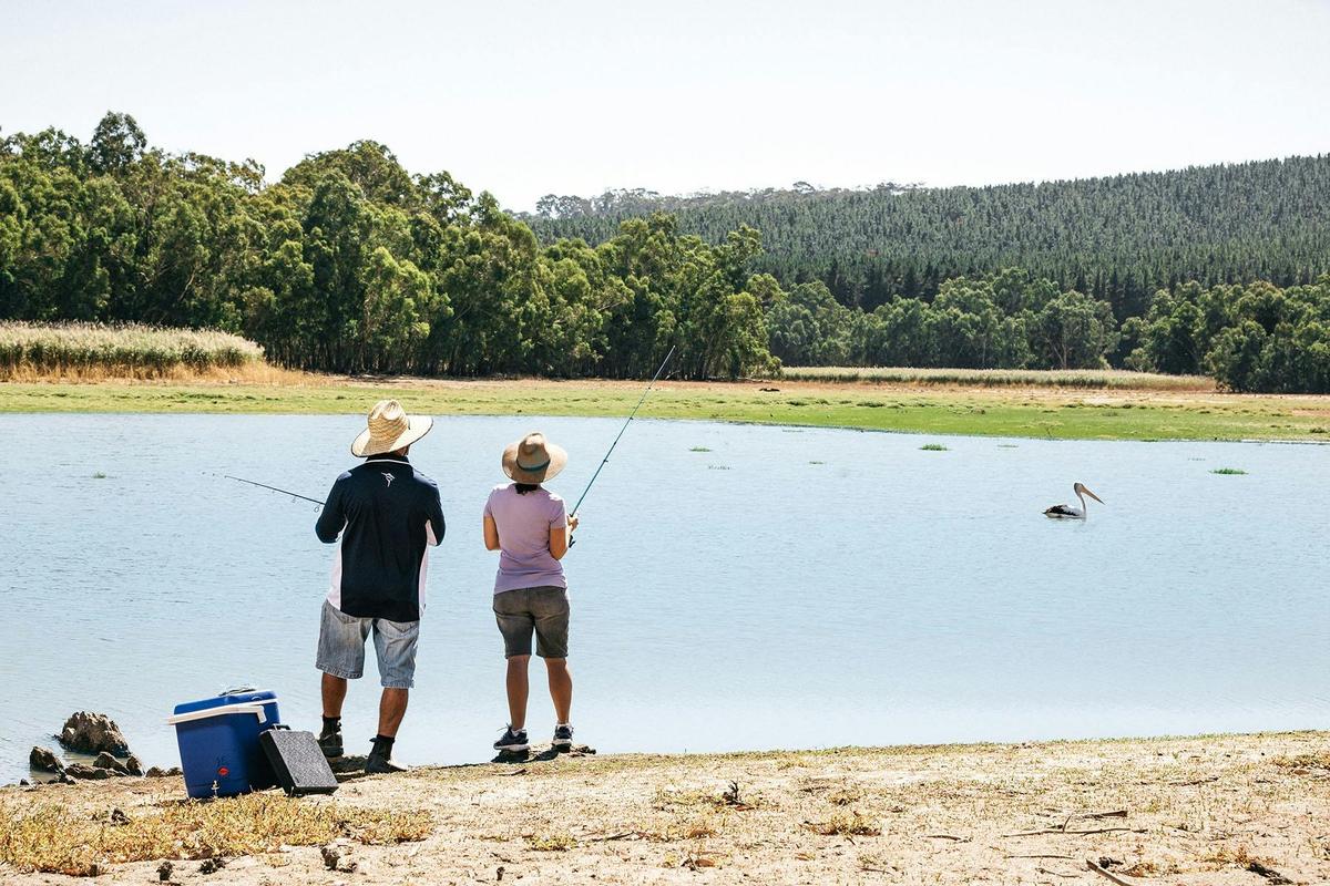 Drop a line in the from the shoreline or on the water (permit required) from a kayak or cano