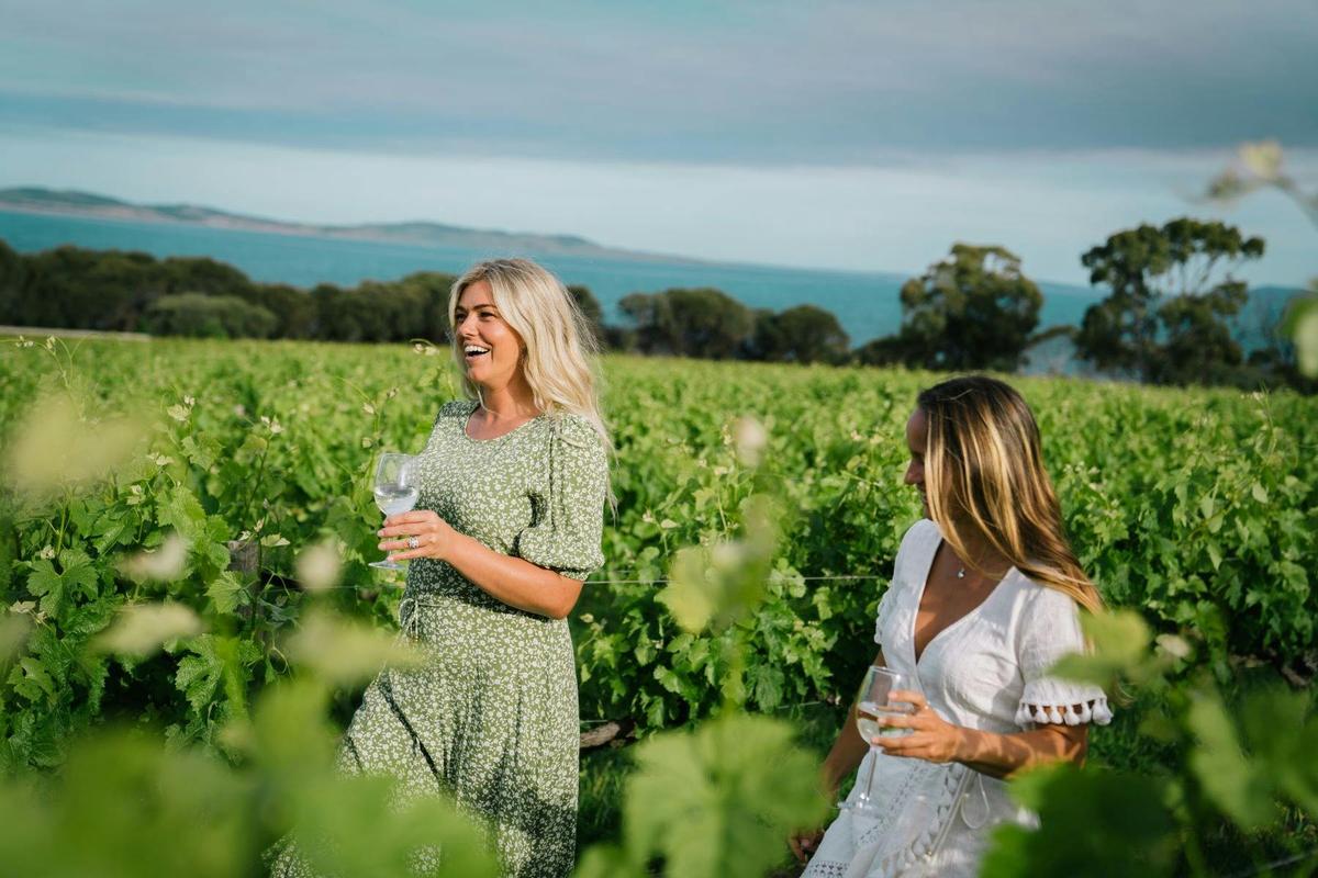Walk wine in hand among the vines
