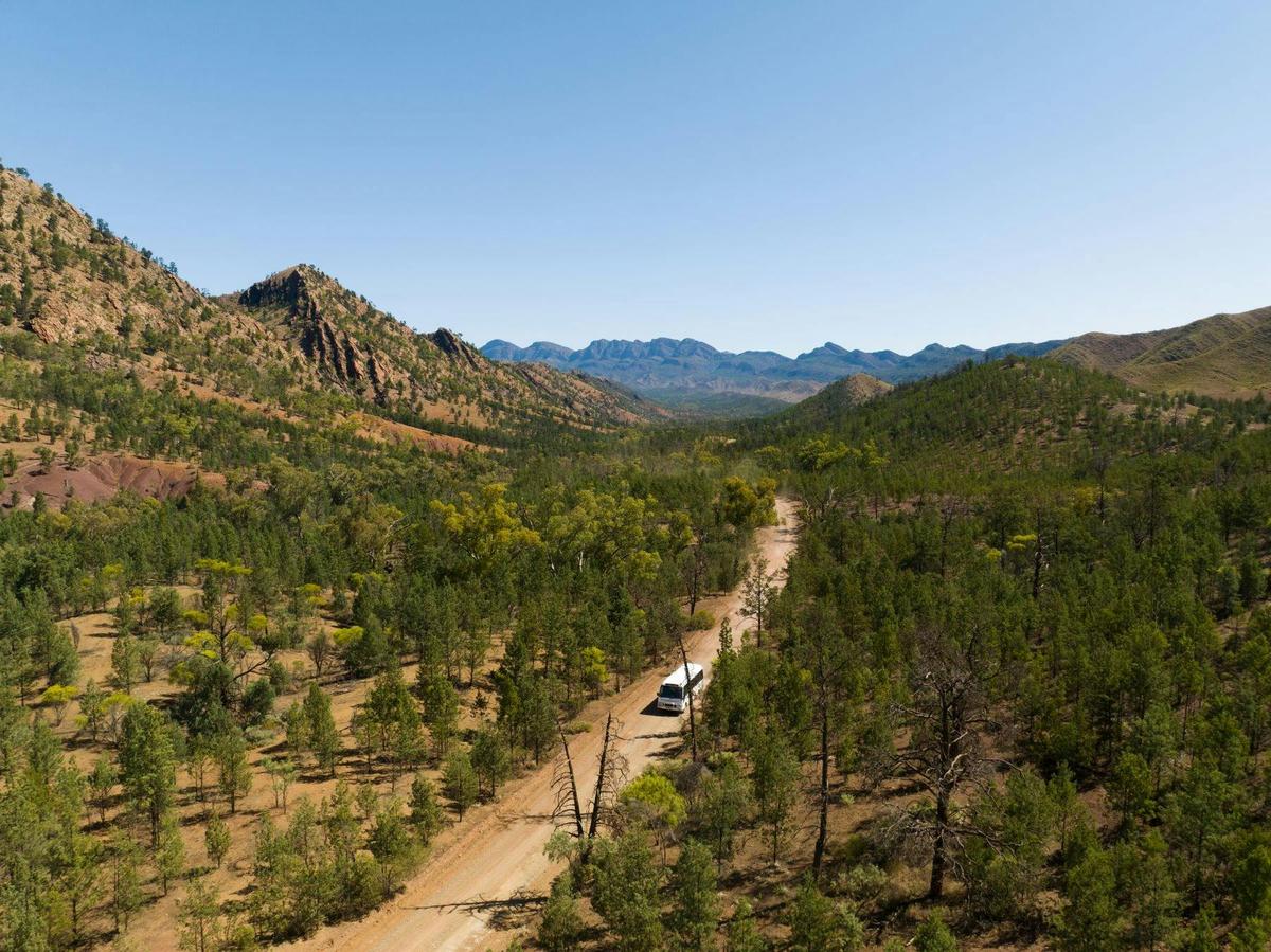 Discover the ancient Flinders Ranges