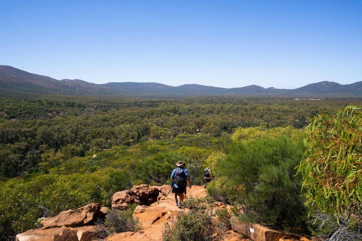 7-Day Adelaide to Uluru Tour