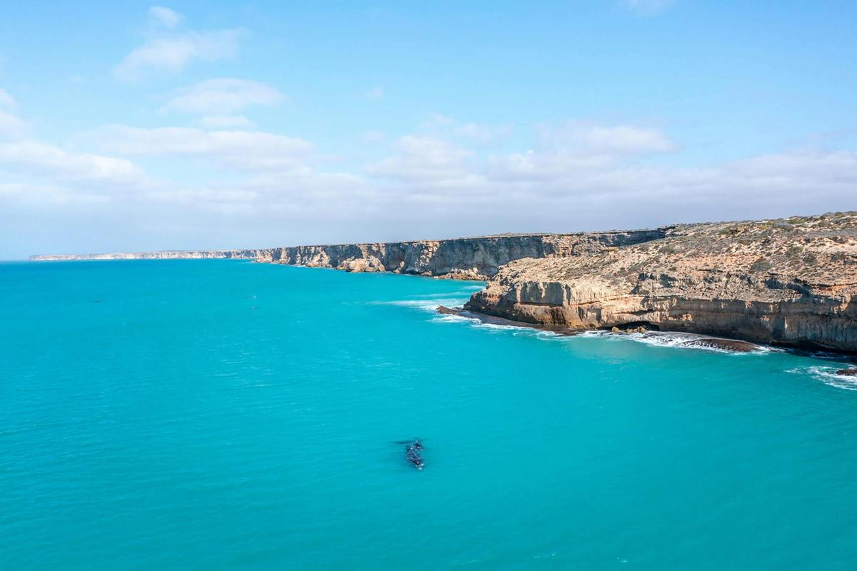3 Day Private Whale Watching Tour