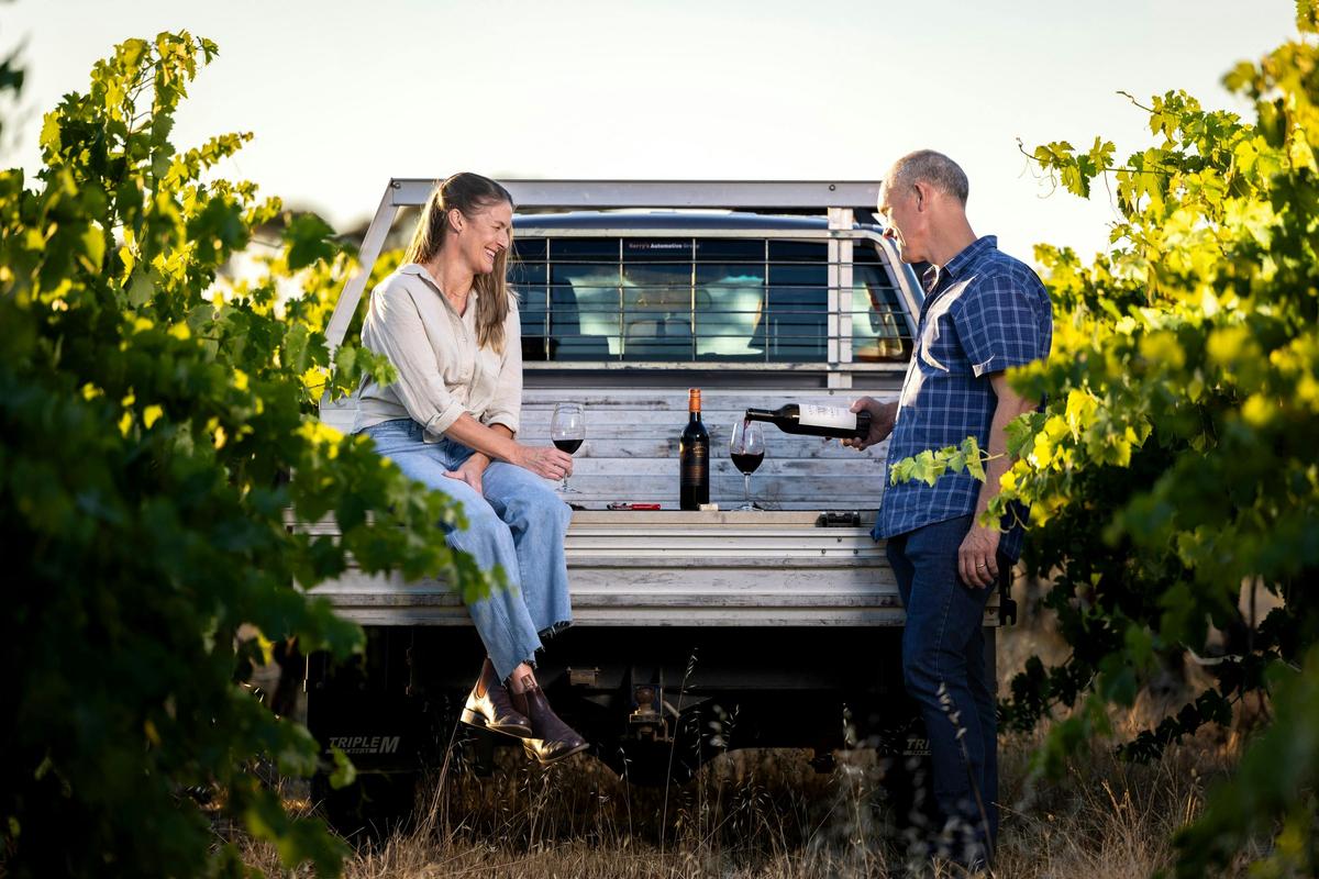 vineyard tasting