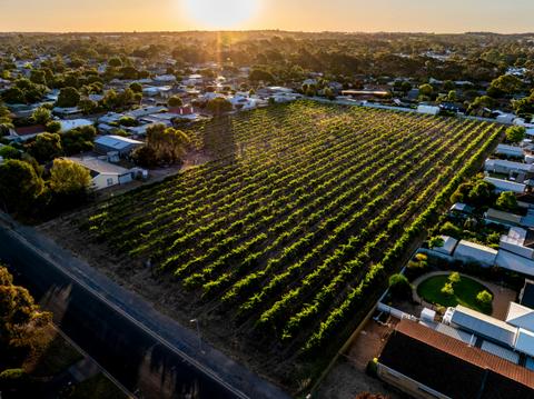 Welland Wines
