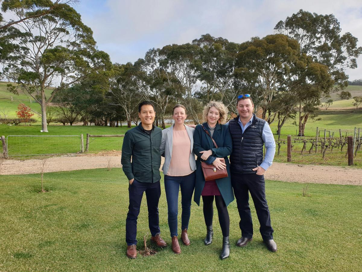 Adelaide Hills and McLaren Vale, Small Group Cellar Door Tour