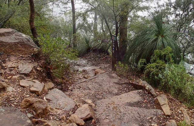 Wentworth Pass Loop Walking Track