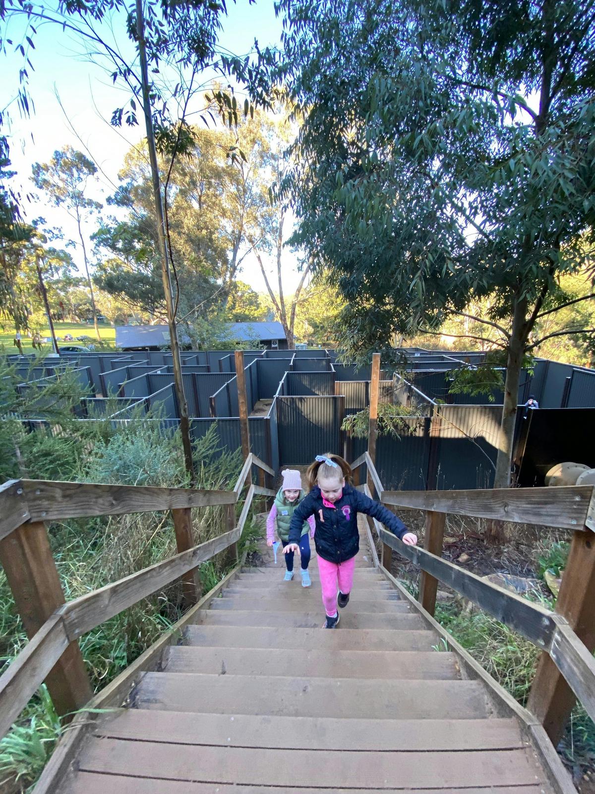 The Labyrinth Maze at Woodhouse