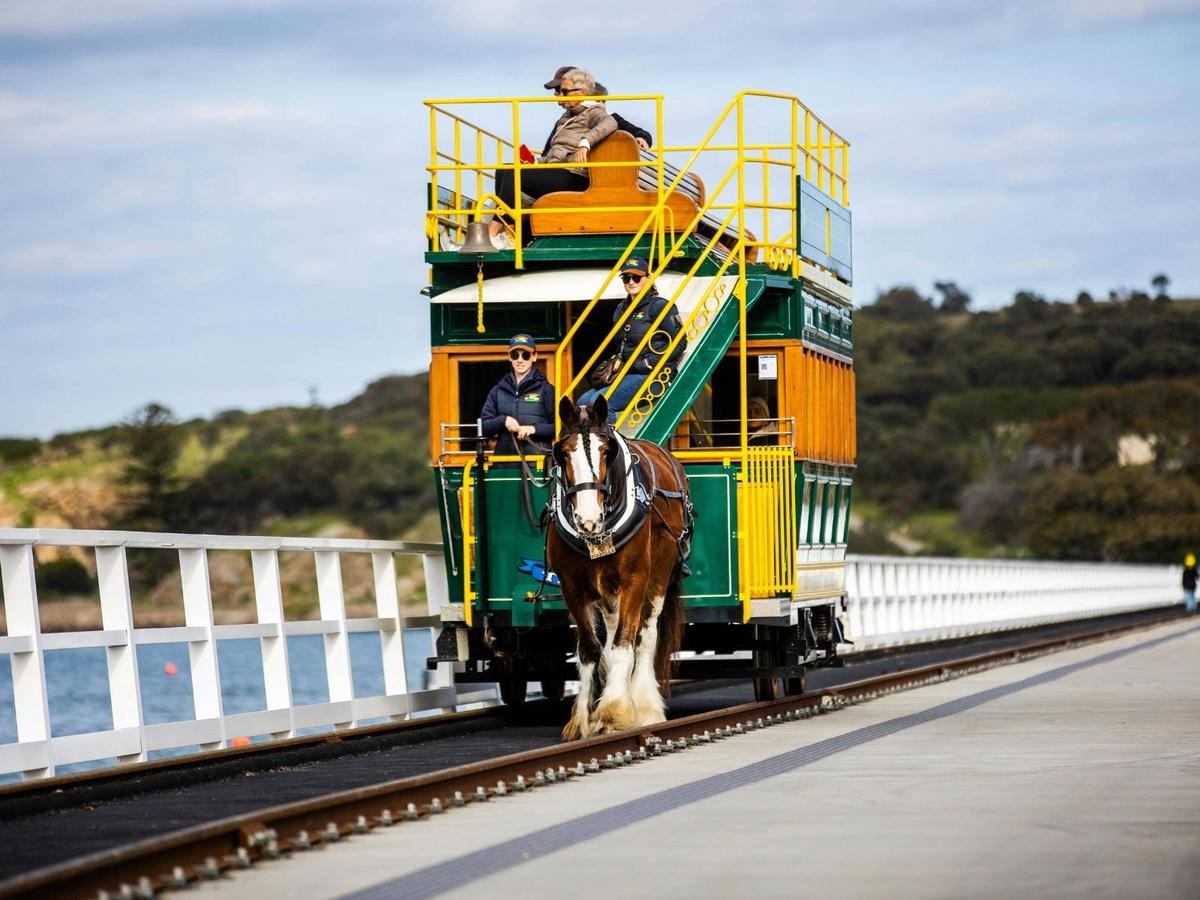 Horse Drawn Tram on the Causeway