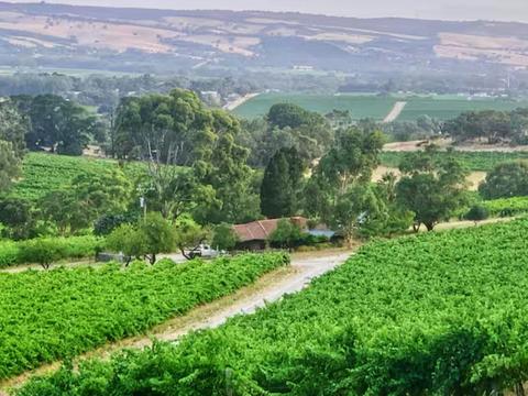 Wine Farmhouse @ Hastwell & Lightfoot Vineyard