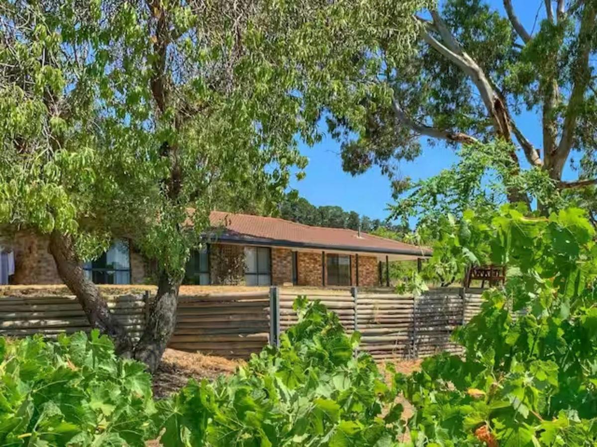 Wine Farmhouse