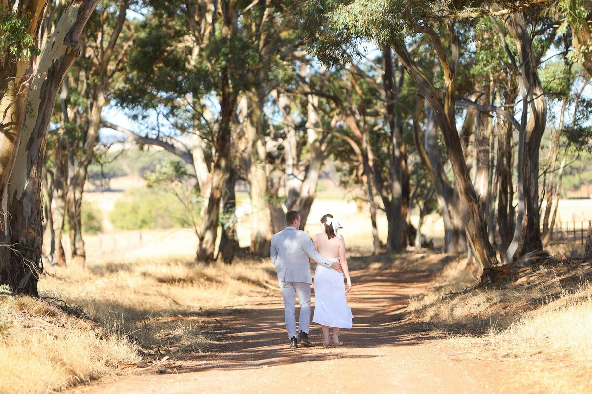 Tranquil gum tree trails at Westlake Vineyards in the Northern Barossa Valley.