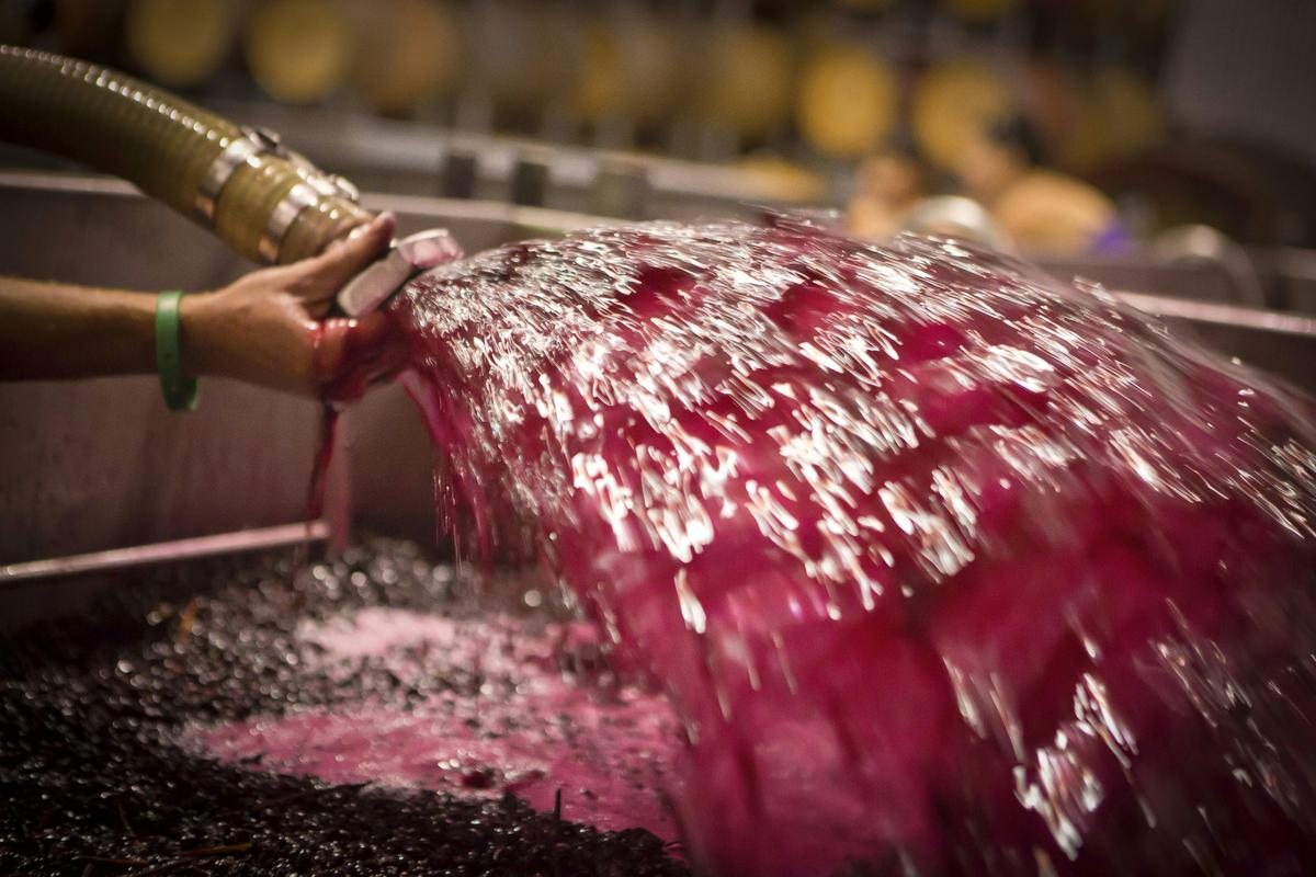 The wine making process...