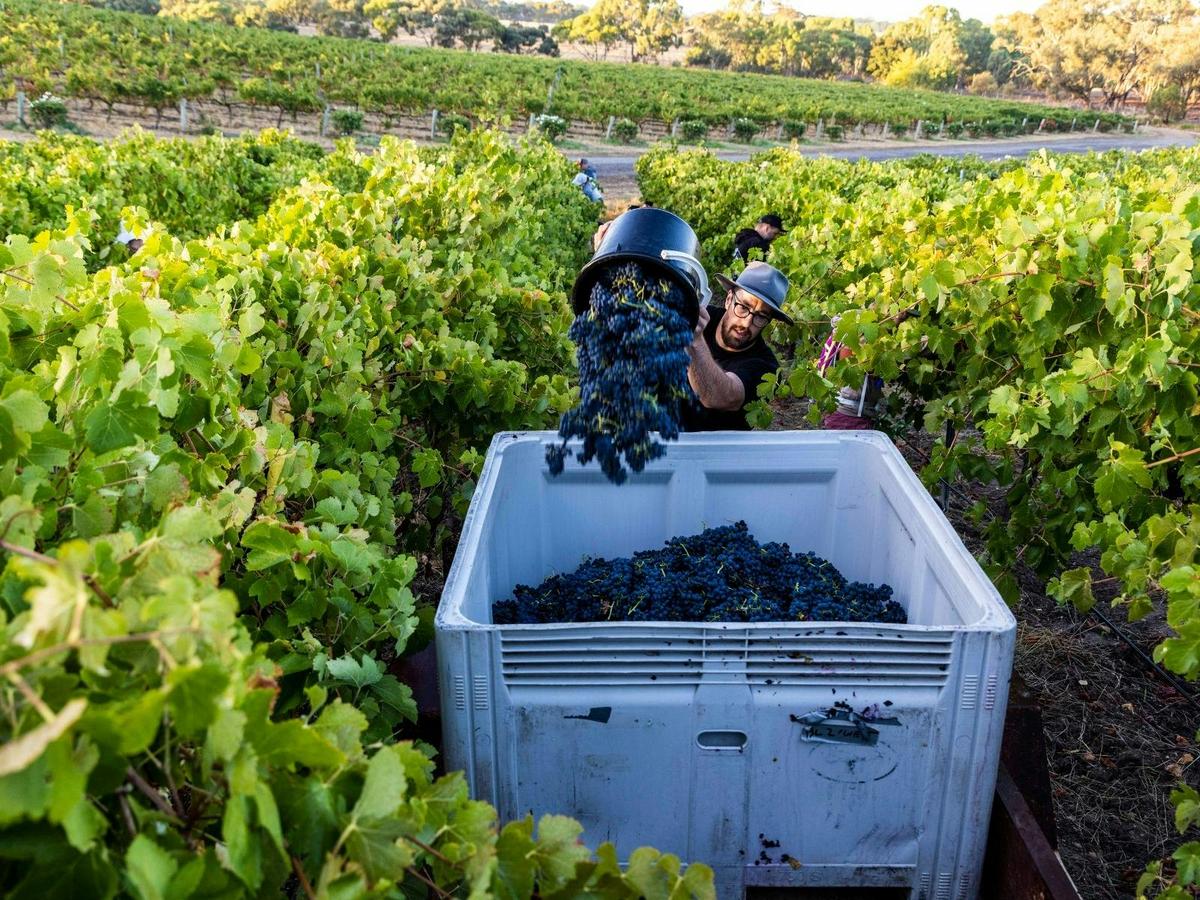 Harvest