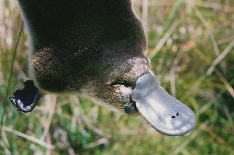 Warrawong Wildlife Sanctuary