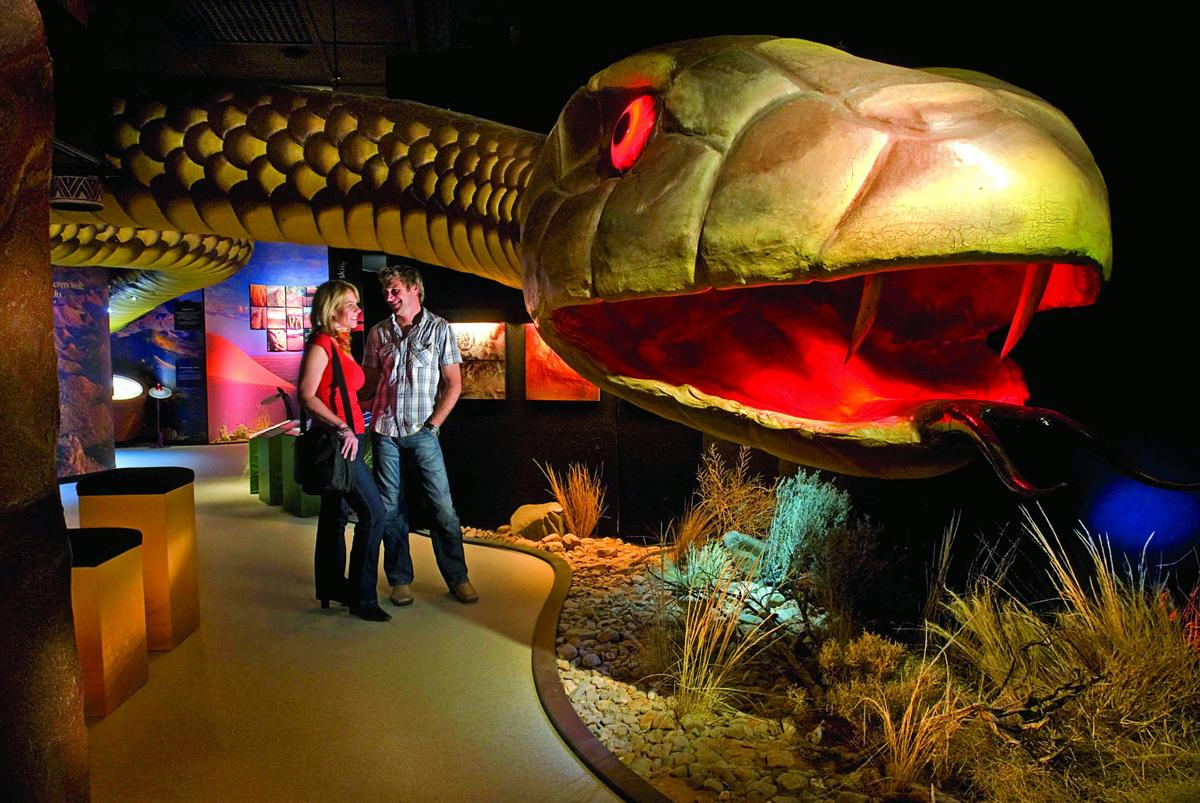 Dreamtime serpent Arkurra is a feature of the Tunnel of Time exhibition