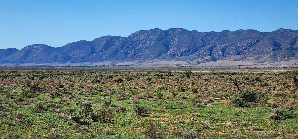 Immerse yourself in the outback
