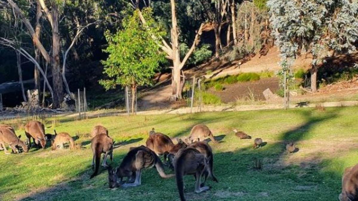 Warrawong Wildlife Sanctuary
