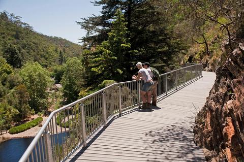 Waterfall Gully