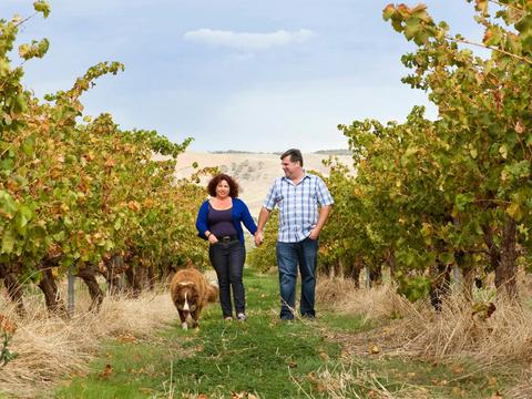 WayWood Wines Vineyard Hideaway