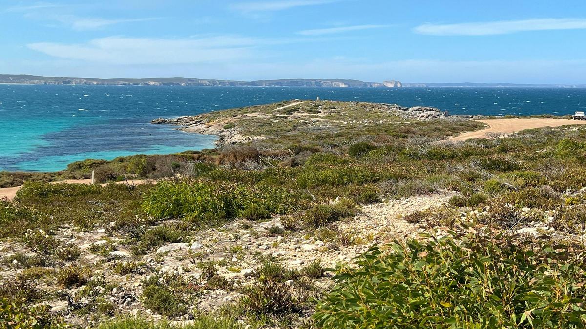 Point Ellen