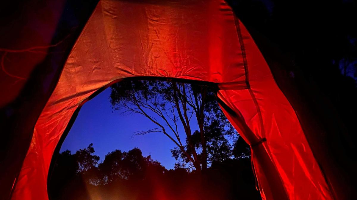 Waitpinga Ridge | Creek Camp Site