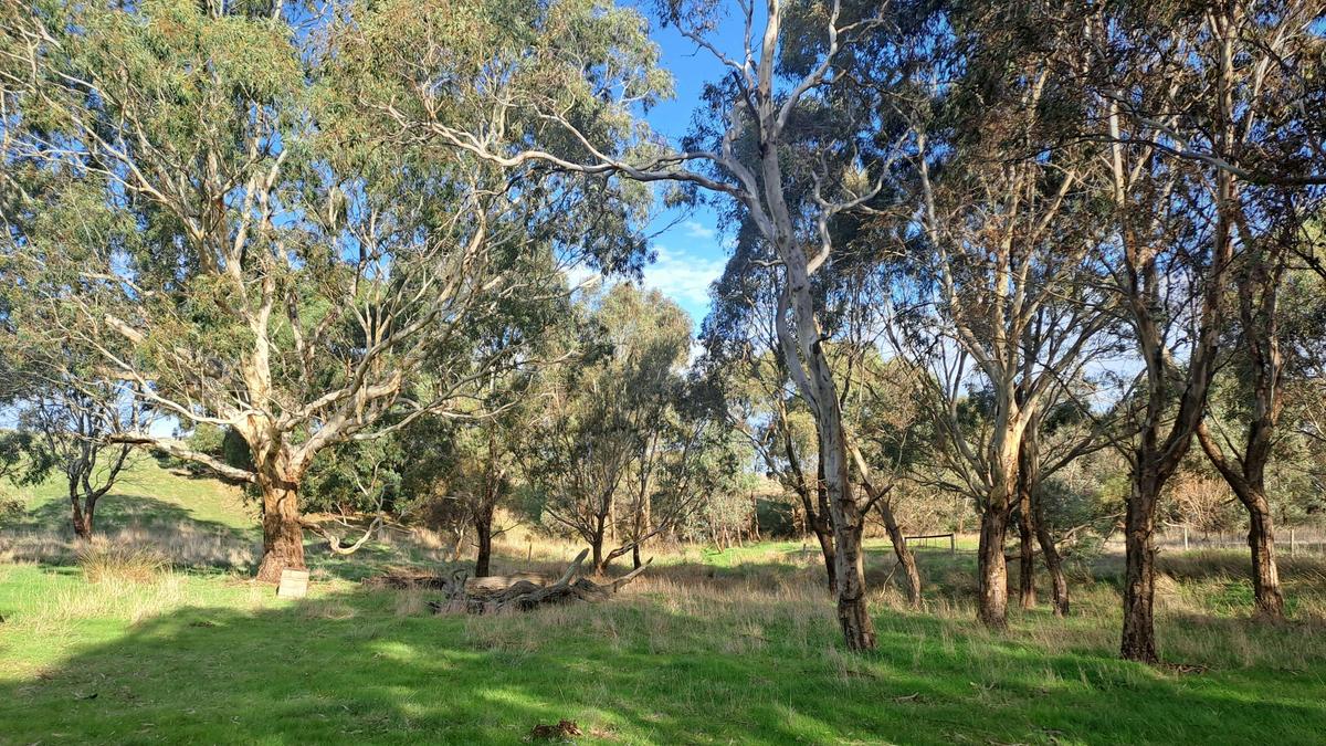 Waitpinga Ridge | Creek Camp Site