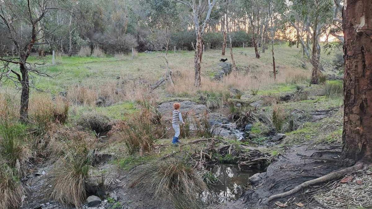 Waitpinga Ridge | Creek Camp Site