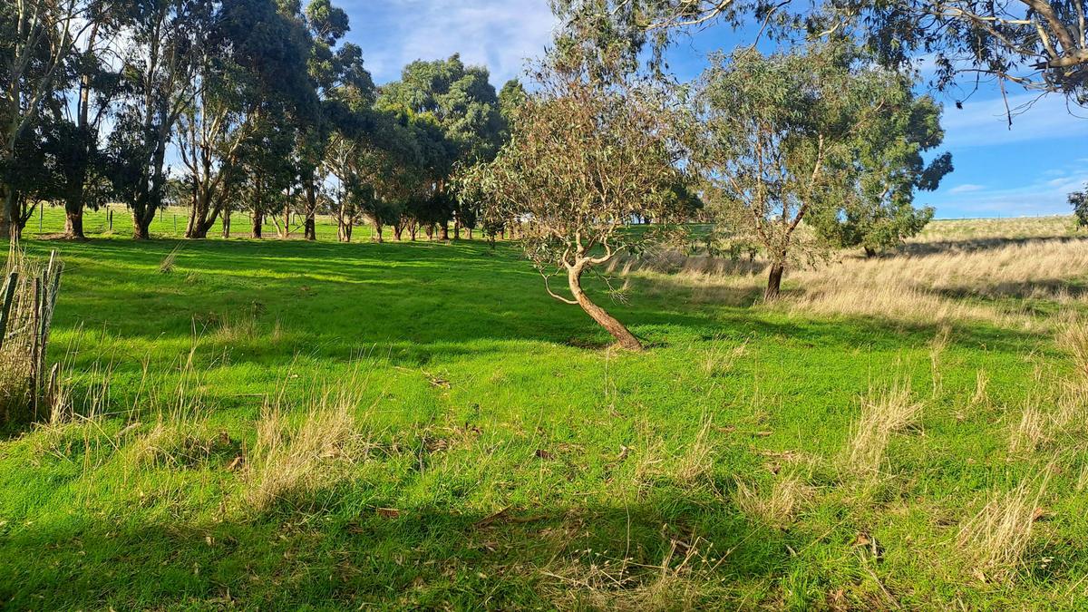 Waitpinga Ridge | Creek Camp Site