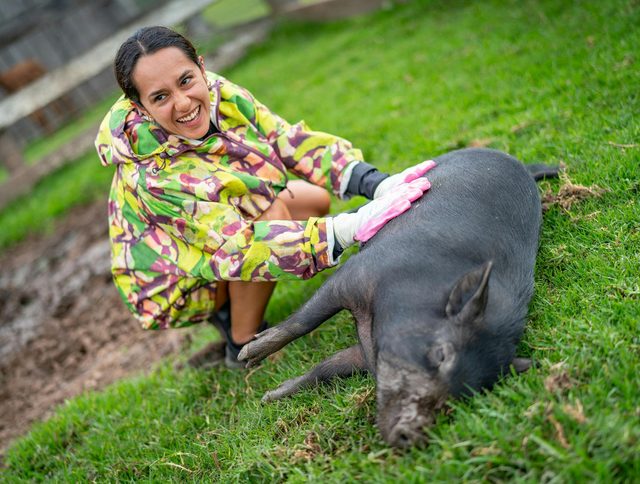 Where Pigs Fly Farm Sanctuary Experience