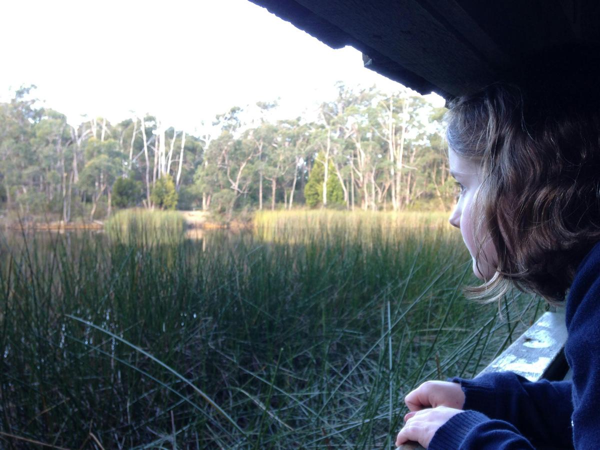 Bird Hide, Woorabinda Lake, Stirling